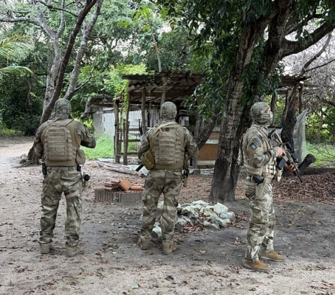 Operação fez ação na Paraíba, Mato Grosso e São Paulo
