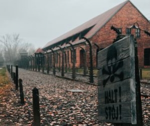 A   Europa   morreu    em   Auschwitz  - Por Sebastian   Villar Rodrguez*